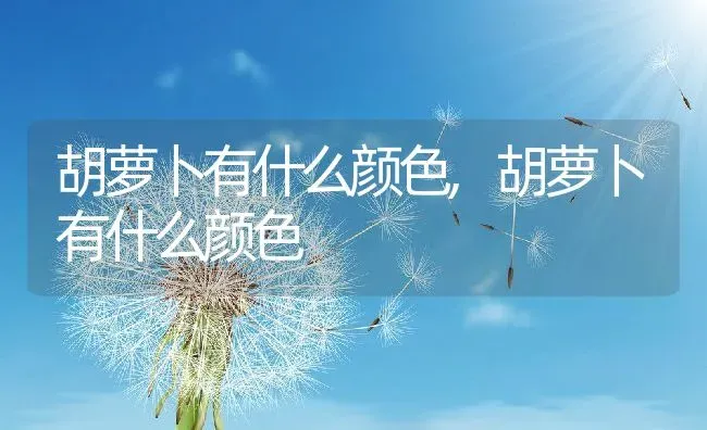 胡萝卜有什么颜色,胡萝卜有什么颜色 | 养殖常见问题