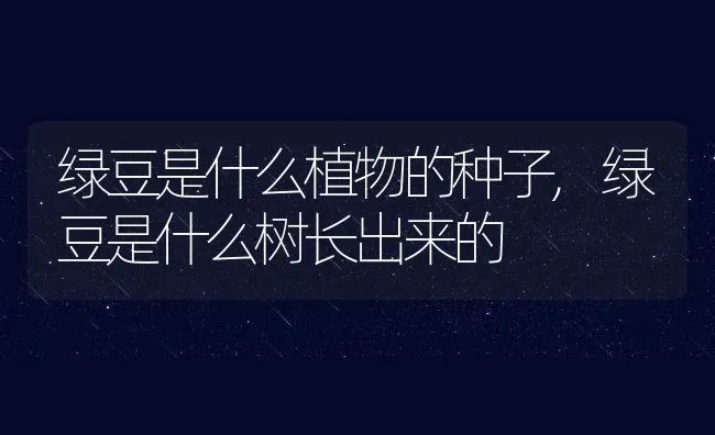绿豆是什么植物的种子,绿豆是什么树长出来的 | 养殖常见问题