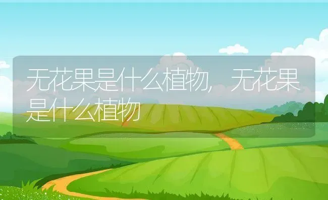 无花果是什么植物,无花果是什么植物 | 养殖常见问题