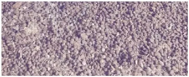 发酵羊粪肥的用法用量 | 三农问答