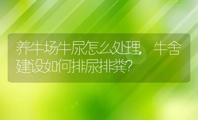 养牛场牛尿怎么处理,牛舍建设如何排尿排粪？ | 养殖常见问题