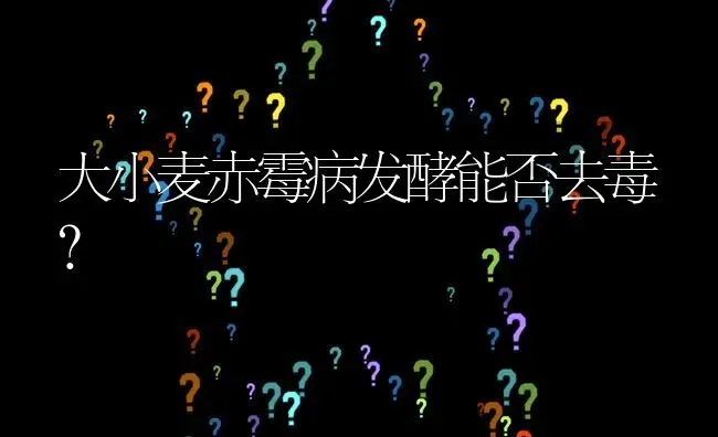 大小麦赤霉病发酵能否去毒? | 养殖问题解答