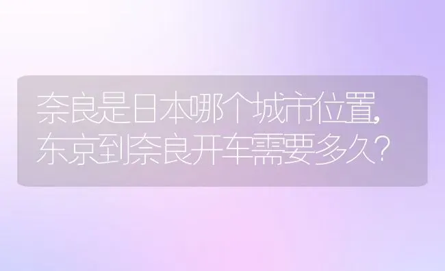 奈良是日本哪个城市位置,东京到奈良开车需要多久？ | 养殖常见问题