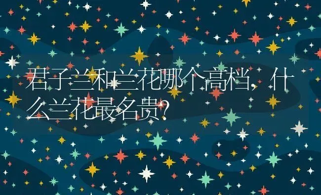 君子兰和兰花哪个高档,什么兰花最名贵？ | 养殖常见问题