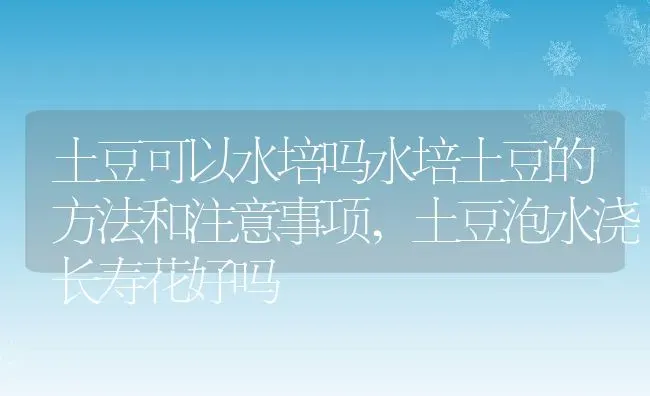 土豆可以水培吗水培土豆的方法和注意事项,土豆泡水浇长寿花好吗 | 养殖常见问题