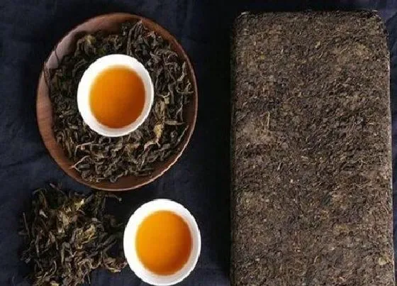 植物常识问题|黑茶的功效与作用