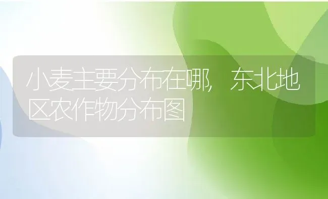 仙客来有毒吗,仙客来有何意义？ | 养殖常见问题