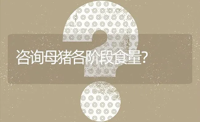 咨询母猪各阶段食量? | 养殖问题解答