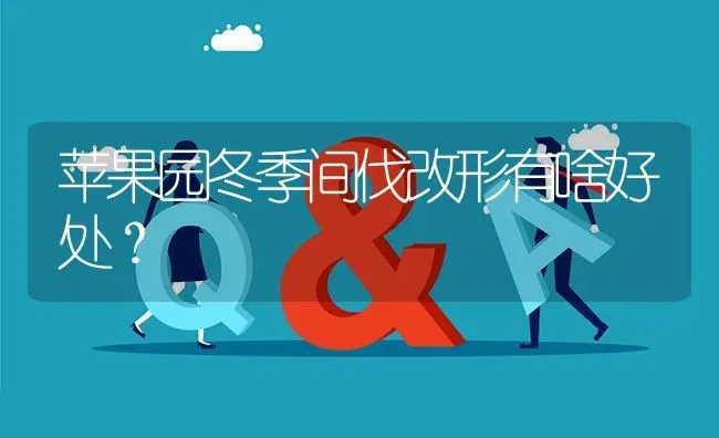 苹果园冬季间伐改形有啥好处? | 养殖问题解答