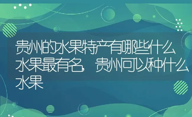 贵州的水果特产有哪些什么水果最有名,贵州可以种什么水果 | 养殖常见问题