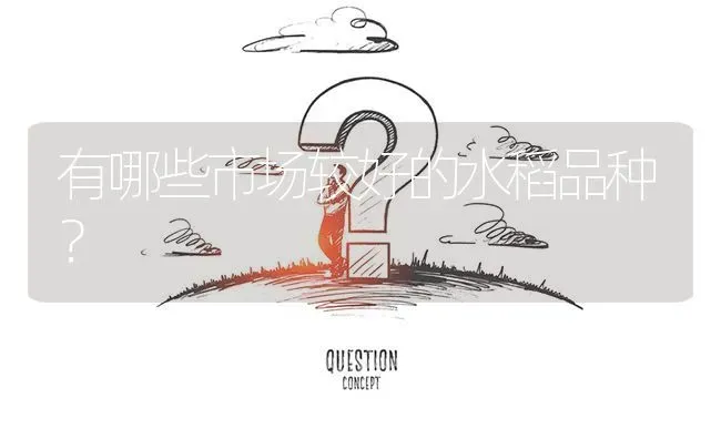 有哪些市场较好的水稻品种? | 养殖问题解答
