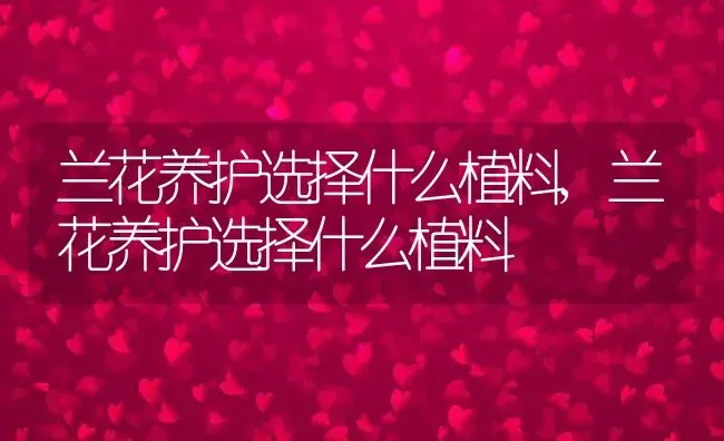 兰花养护选择什么植料,兰花养护选择什么植料 | 养殖常见问题