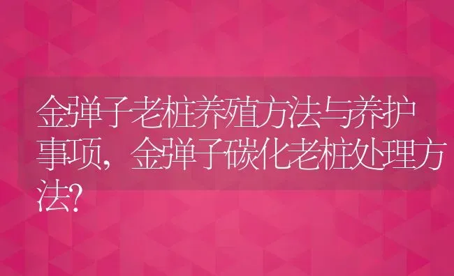 金弹子老桩养殖方法与养护事项,金弹子碳化老桩处理方法？ | 养殖常见问题