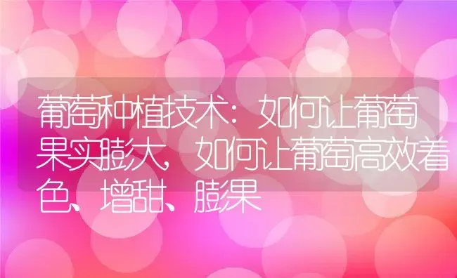 葡萄种植技术:如何让葡萄果实膨大,如何让葡萄高效着色、增甜、膨果 | 养殖常见问题