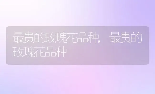 向日葵如何养护,向日葵如何养护 | 养殖常见问题