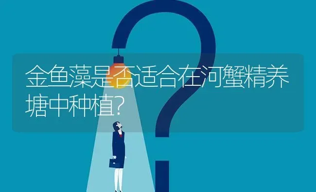 金鱼藻是否适合在河蟹精养塘中种植? | 养殖问题解答