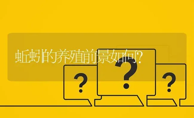 蚯蚓的养殖前景如何? | 养殖问题解答