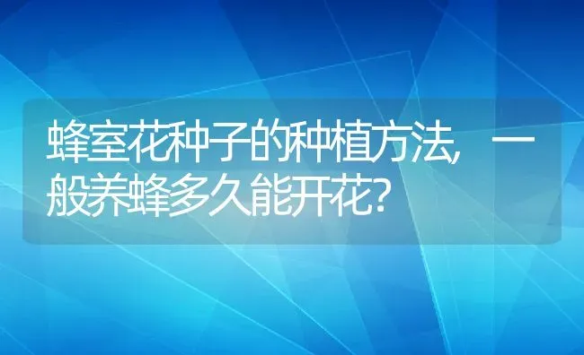 蜂室花种子的种植方法,一般养蜂多久能开花？ | 养殖常见问题