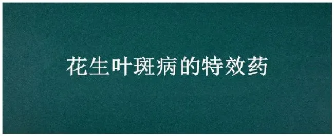 花生叶斑病的特效药 | 农业答疑