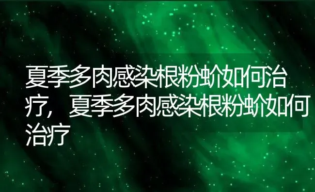 夏季多肉感染根粉蚧如何治疗,夏季多肉感染根粉蚧如何治疗 | 养殖常见问题