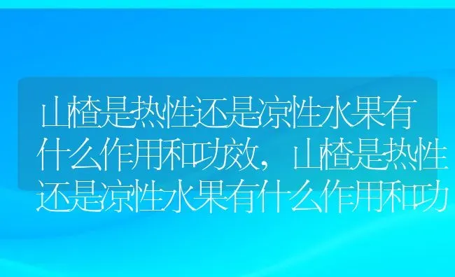 山楂是热性还是凉性水果有什么作用和功效,山楂是热性还是凉性水果有什么作用和功效 | 养殖常见问题