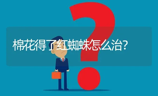 棉花得了红蜘蛛怎么治? | 养殖问题解答