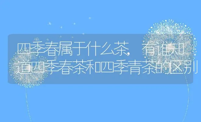 藏红是什么样子的,藏红是什么样子的 | 养殖常见问题