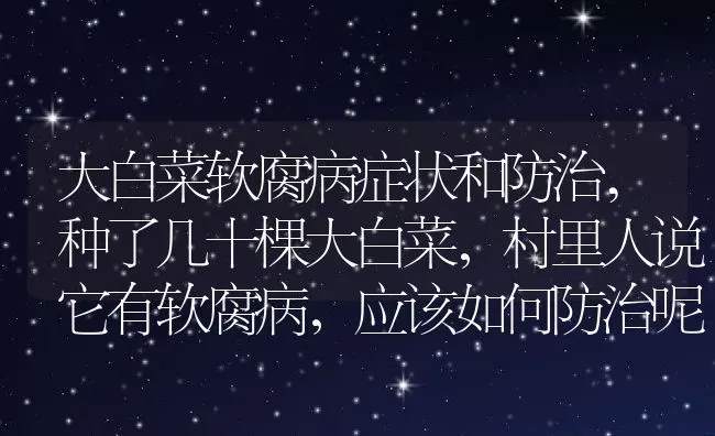 大白菜软腐病症状和防治,种了几十棵大白菜，村里人说它有软腐病，应该如何防治呢 | 养殖常见问题