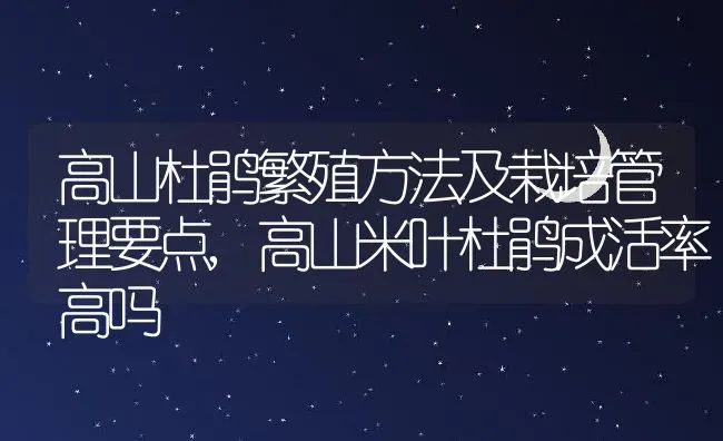 高山杜鹃繁殖方法及栽培管理要点,高山米叶杜鹃成活率高吗 | 养殖常见问题