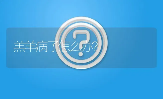 羔羊病了怎么办? | 养殖问题解答