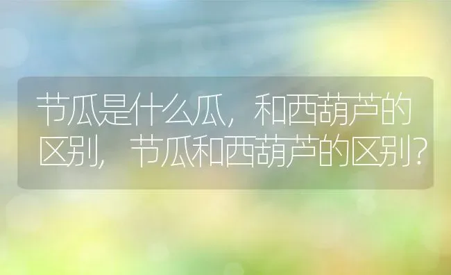 节瓜是什么瓜，和西葫芦的区别,节瓜和西葫芦的区别？ | 养殖常见问题