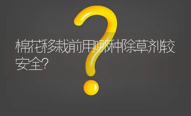 棉花移栽前用哪种除草剂较安全? | 养殖问题解答