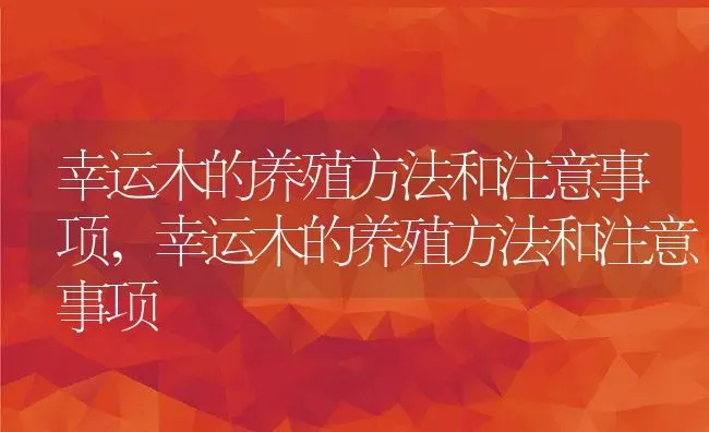 幸运木的养殖方法和注意事项,幸运木的养殖方法和注意事项 | 养殖常见问题