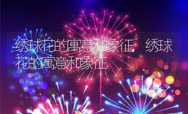 绣球花的寓意和象征,绣球花的寓意和象征 | 养殖常见问题