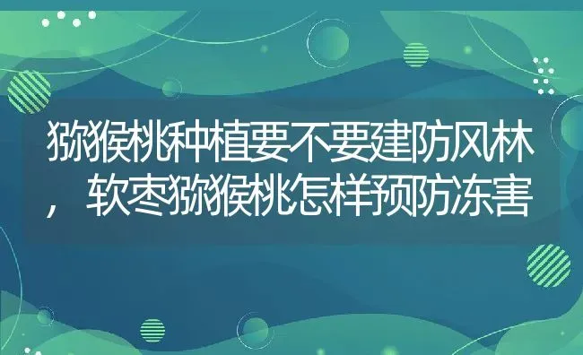 猕猴桃种植要不要建防风林,软枣猕猴桃怎样预防冻害 | 养殖常见问题