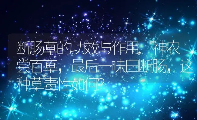 水藻怎么清除,怎样清除鱼池水面的水藻？ | 养殖常见问题