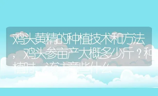 鸡头黄精的种植技术和方法,鸡头参亩产大概多少斤？种植时，该注意些什么 | 养殖常见问题