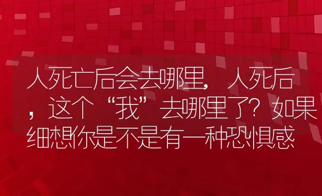 人死亡后会去哪里,人死后，这个“我”去哪里了？如果细想你是不是有一种恐惧感 | 养殖常见问题