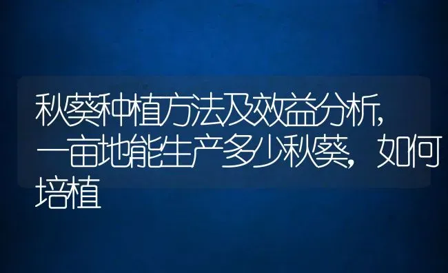 秋葵种植方法及效益分析,一亩地能生产多少秋葵，如何培植 | 养殖常见问题