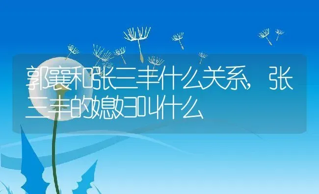 郭襄和张三丰什么关系,张三丰的媳妇叫什么 | 养殖常见问题