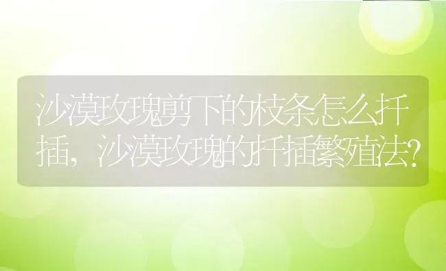 沙漠玫瑰剪下的枝条怎么扦插,沙漠玫瑰的扦插繁殖法？ | 养殖常见问题