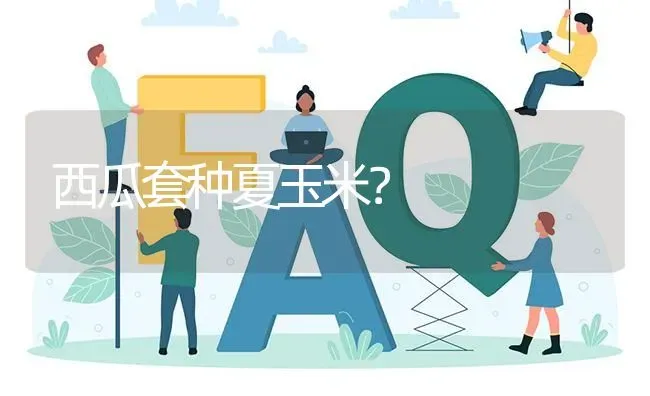 西瓜套种夏玉米? | 养殖问题解答