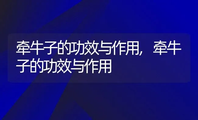 丝瓜花是完全花吗属于完全花还是不完全花,油菜花、菊花、梨花、玫瑰花、桃花、丝瓜花哪些是完全花？ | 养殖常见问题