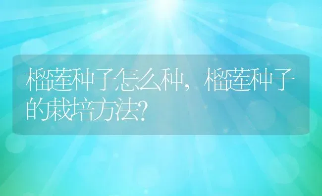 榴莲种子怎么种,榴莲种子的栽培方法？ | 养殖常见问题