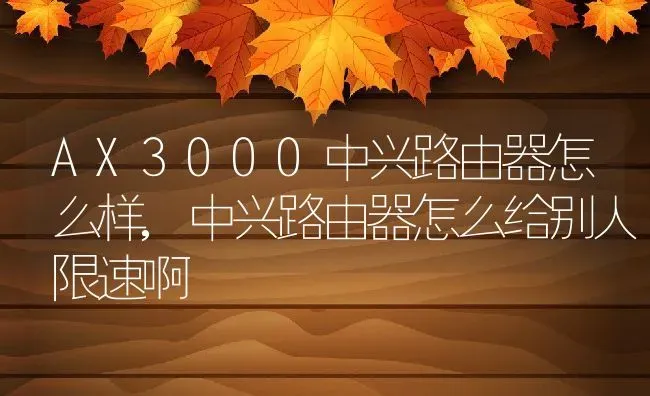 AX3000中兴路由器怎么样,中兴路由器怎么给别人限速啊 | 养殖常见问题