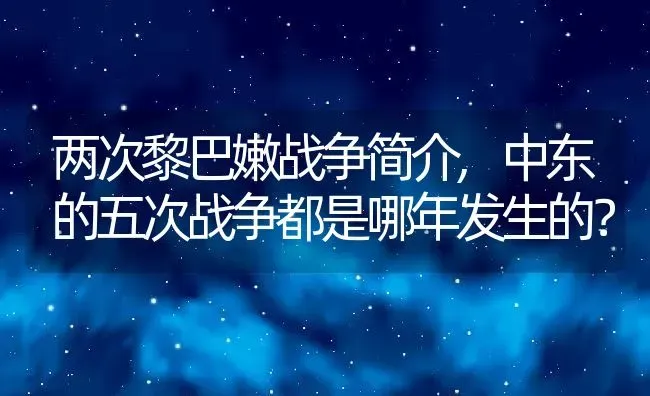 两次黎巴嫩战争简介,中东的五次战争都是哪年发生的？ | 养殖常见问题