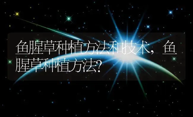 鱼腥草种植方法和技术,鱼腥草种植方法？ | 养殖常见问题