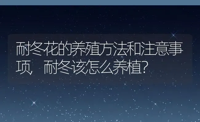 耐冬花的养殖方法和注意事项,耐冬该怎么养植？ | 养殖常见问题
