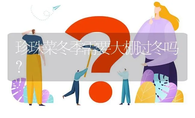 珍珠菜冬季需要大棚过冬吗? | 养殖问题解答