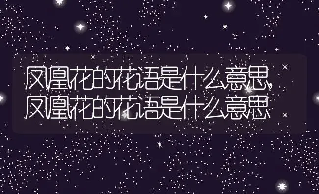 凤凰花的花语是什么意思,凤凰花的花语是什么意思 | 养殖常见问题